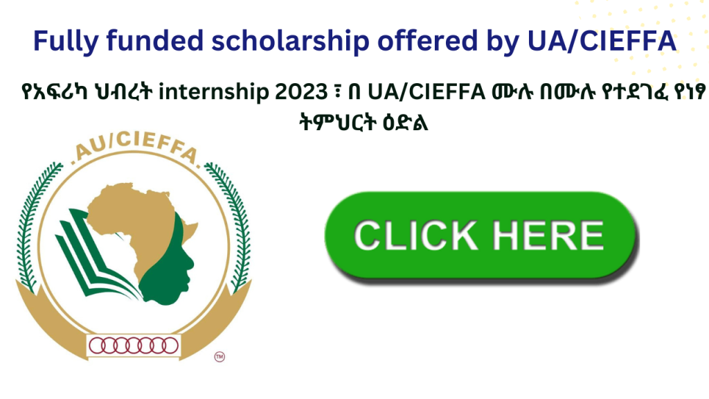 African Union Internship Program 2023